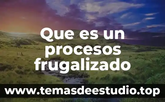 Que es un procesos frugalizado