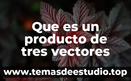 Que es la suma de vectores fisica 5 Que es un producto de tres vectores