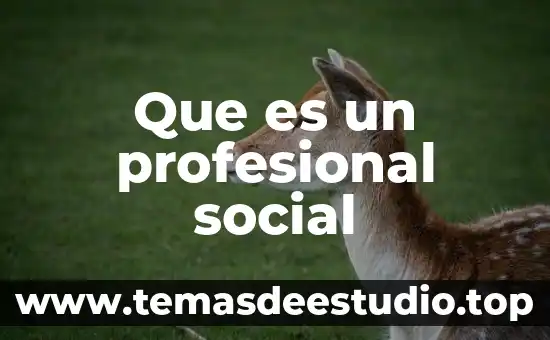 Que es un profesional social