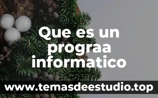 Qué es un tríptico informático 3 Que es un prograa informatico