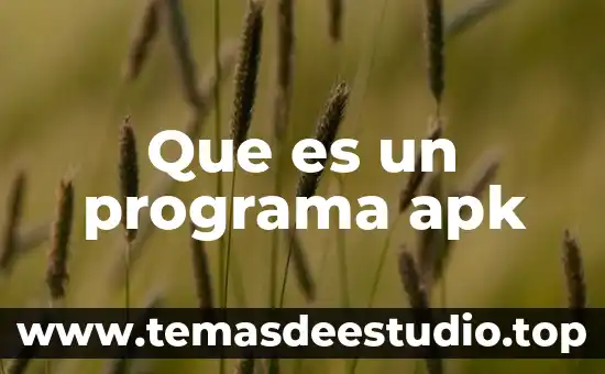 Que es un programa apk
