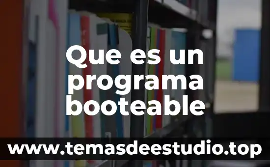 Qué es icono de programa 8 Que es un programa booteable
