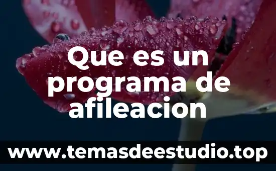 Que es sujeto del conocimiento 5 Que es un programa de afileacion