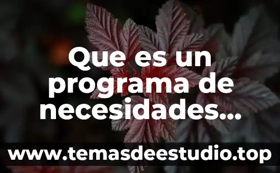 Que es satisfaccion de necesidades sociales 3 Que es un programa de necesidades arquitectonico