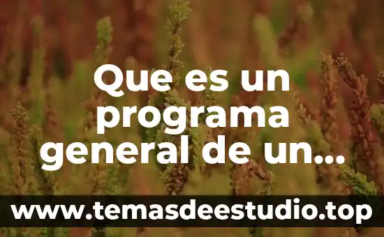 Qué es el programa proyect 3 Que es un programa general de un evento