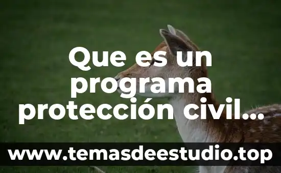 Protección civil para qué es 3 Que es un programa protección civil y emergencia escolar