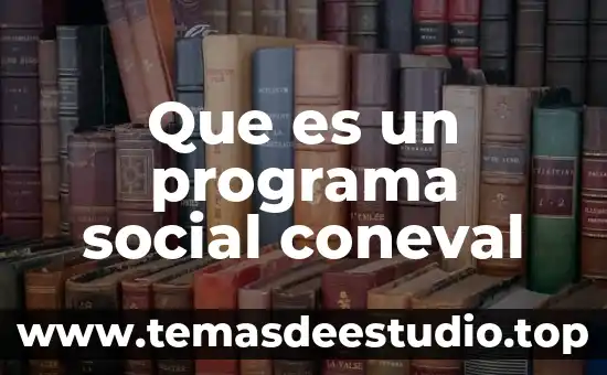 Que es un programa social coneval