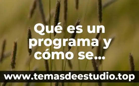 Qué es el programa proyect 6 Qué es un programa y cómo se clasifica