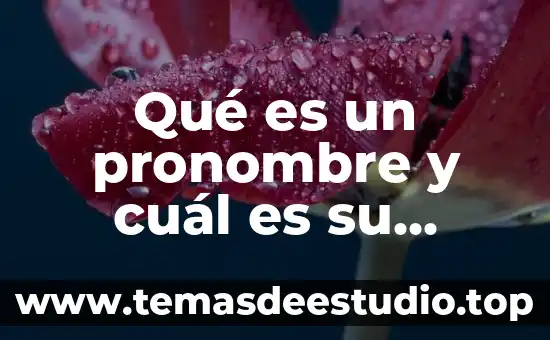 Que es un historiador y cual es su función 8 Qué es un pronombre y cuál es su función