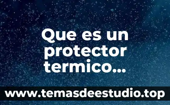Que es un protector termico electrico