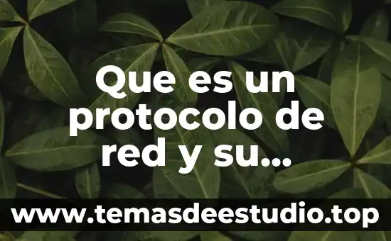 Que es un un portal en la red 4 Que es un protocolo de red y su clasificacion