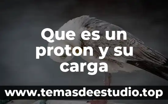 Que es la electron proton 7 Que es un proton y su carga