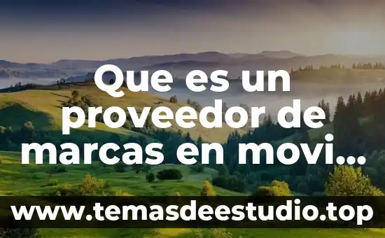 Que es la letra c al lado de las marcas 3 Que es un proveedor de marcas en movi maker