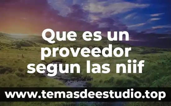Que es propiedad planta y equipo bajo niif 4 Que es un proveedor segun las niif