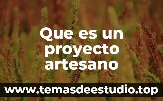 Que es proyecto de danza 8 Que es un proyecto artesano