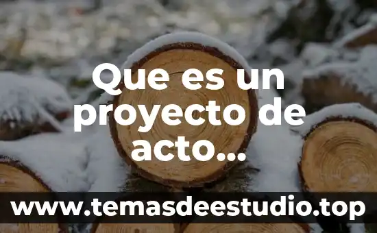 Qué es un acto jurídico público definición 8 Que es un proyecto de acto administrativo