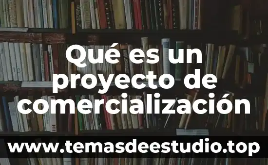 Qué es un proyecto de comercialización