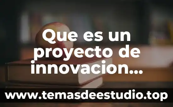 Que es disco flexible significado 3 Que es un proyecto de innovacion flexible