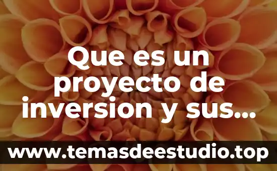 Que es un proyecto de inversion y sus pasos