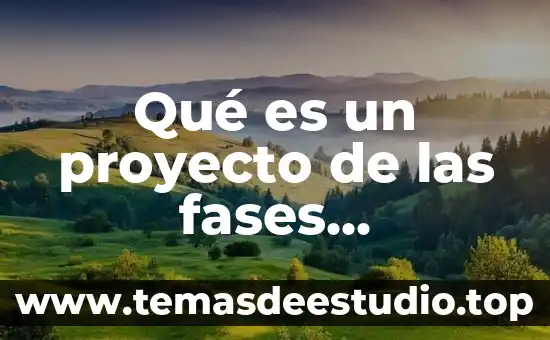 Qué es un proyecto de las fases monitorización