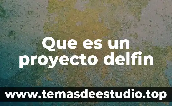 Qué es el incio de un proyecto 4 Que es un proyecto delfin