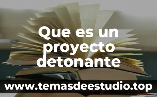 Que es un proyecto detonante