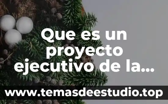 Que es dr en contabilidad 7 Que es un proyecto ejecutivo de la carrera de contabilidad