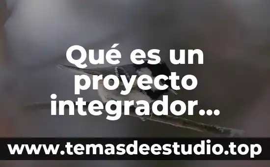 Qué es un proyecto integrador definición