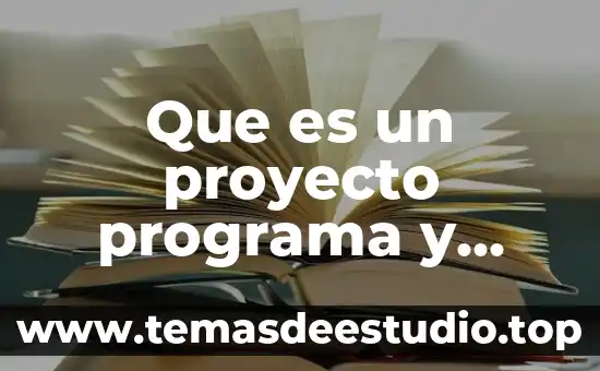 Que es el programa de pensamiento productivo 7 Que es un proyecto programa y portafolio pmi