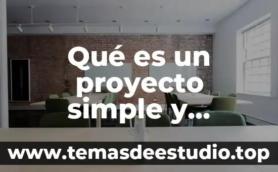 Que es el clandestino en economia 3 Qué es un proyecto simple y características