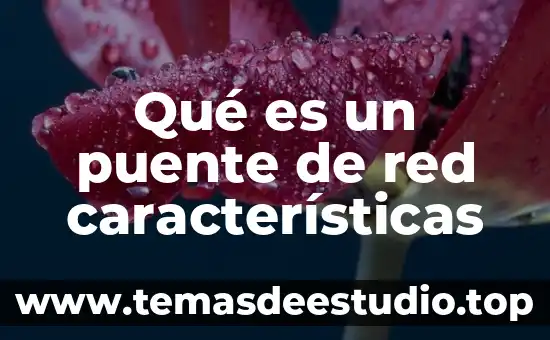 Qué es un puente de red características