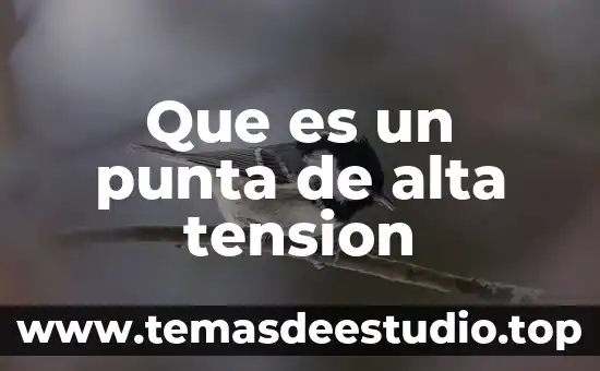 Que es supervisor de planta 5 Que es un punta de alta tension