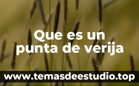 Afirmación que se refiere a lo que es 6 Que es un punta de verija