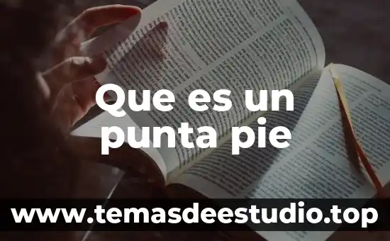 Que es un punta pie