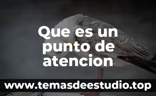 Que es un centro de atencion primaria 3 Que es un punto de atencion