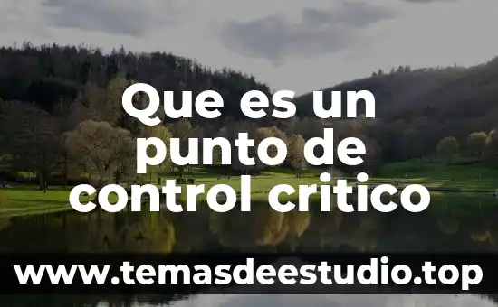 Que es el pensamiento critico y caracteristicas 5 Que es un punto de control critico