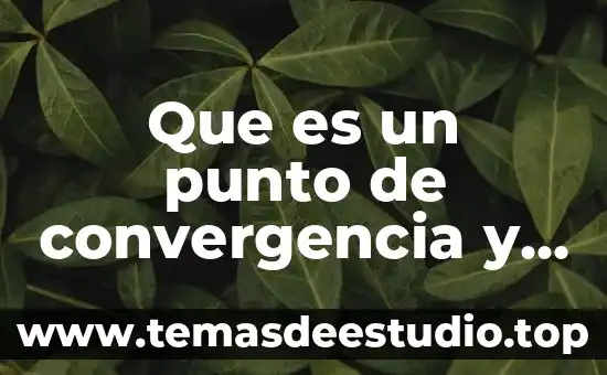 Que es un punto de convergencia y divergencia