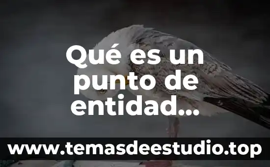 Qué es el punto tejer una bufanda 8 Qué es un punto de entidad ProModel