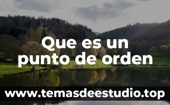 Problemas de orden filosófico en teoría del estado 3 Que es un punto de orden