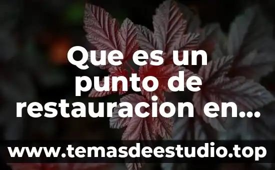 Que es un punto de restauracion en windows