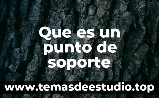 Que es un punto de soporte