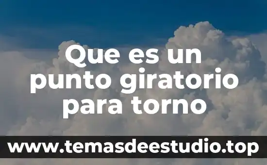 Abejorro de color negro que es inofensivo 8 Que es un punto giratorio para torno