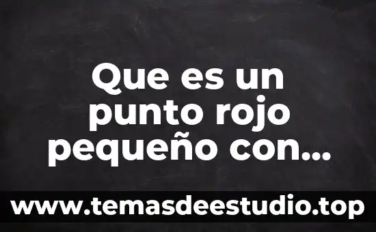 Que es el espacio pequeño 7 Que es un punto rojo pequeño con patas