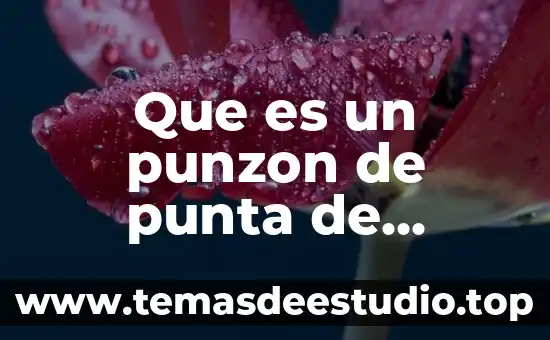 Que es un punzon de punta de diamante