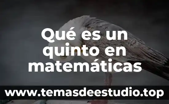 Qué es un argumento en funciones matemáticas 8 Qué es un quinto en matemáticas