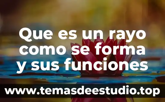 Que es el circulo que se forma alrededor del sol 6 Que es un rayo como se forma y sus funciones