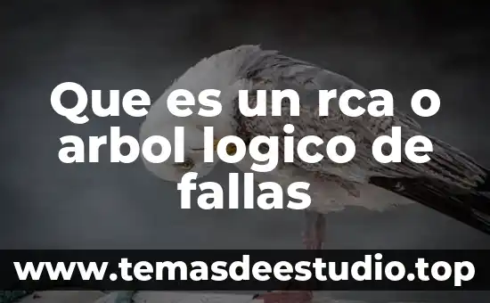 Qué es el pensamiento lógico matemático según Piaget 8 Que es un rca o arbol logico de fallas