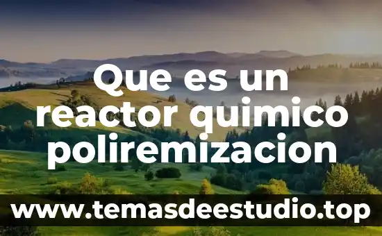 Redistribuci贸n espacial que es 7 Que es un reactor quimico poliremizacion