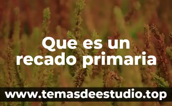 Que es la idea primaria 8 Que es un recado primaria