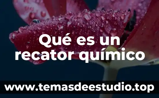 Que es ser sujeto politico 7 Qué es un recator químico